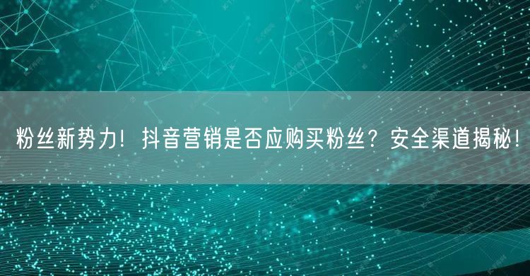 粉丝新势力!抖音营销是否应购买粉丝?安全渠道揭秘!