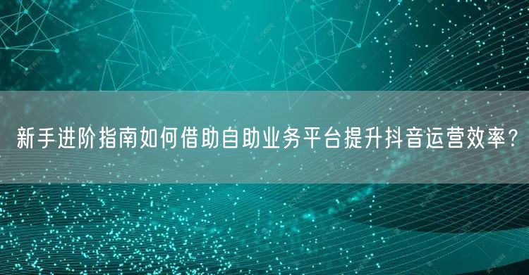 新手进阶指南如何借助自助业务平台提升抖音运营效率？