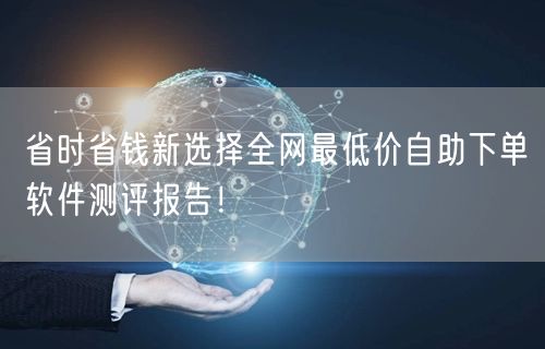 省时省钱新选择全网最低价自助下单软件测评报告！