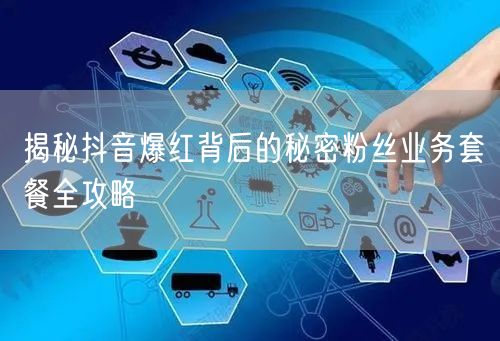 揭秘抖音爆红背后的秘密粉丝业务套餐全攻略