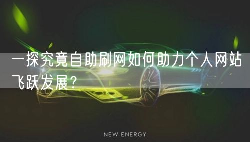一探究竟自助刷网如何助力个人网站飞跃发展？