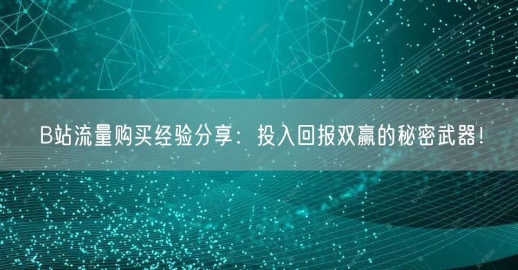 B站流量购买经验分享:投入回报双赢的秘密武器!