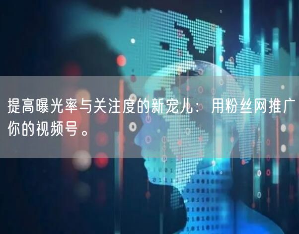 提高曝光率与关注度的新宠儿：用粉丝网推广你的视频号。