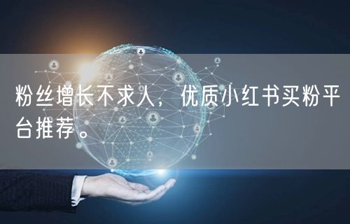 粉丝增长不求人，优质小红书买粉平台推荐。